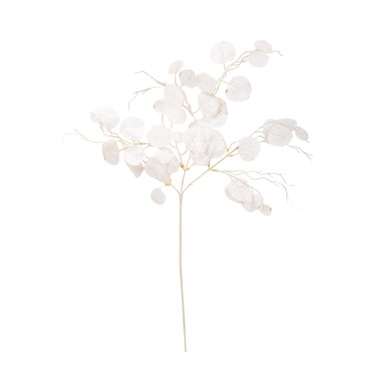 EUCALYPTUS BRANCH WH 30in