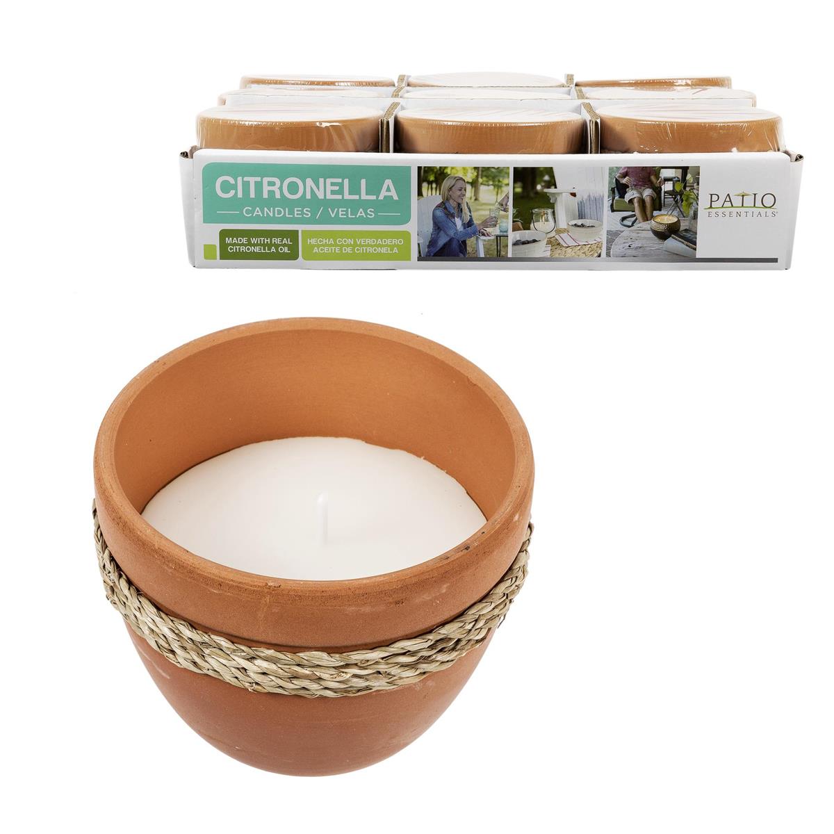 CITRONELLA IN TERRACOTTA POT