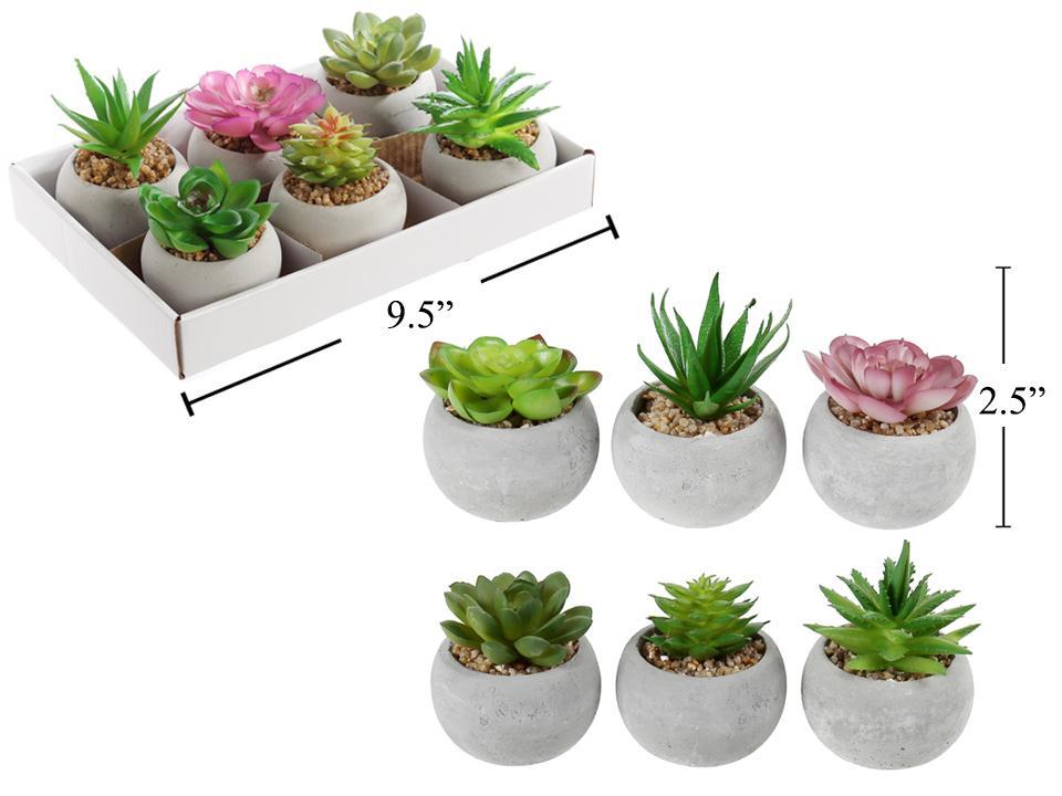 CONCRETE SUCCULENT ROUND 2.5IN