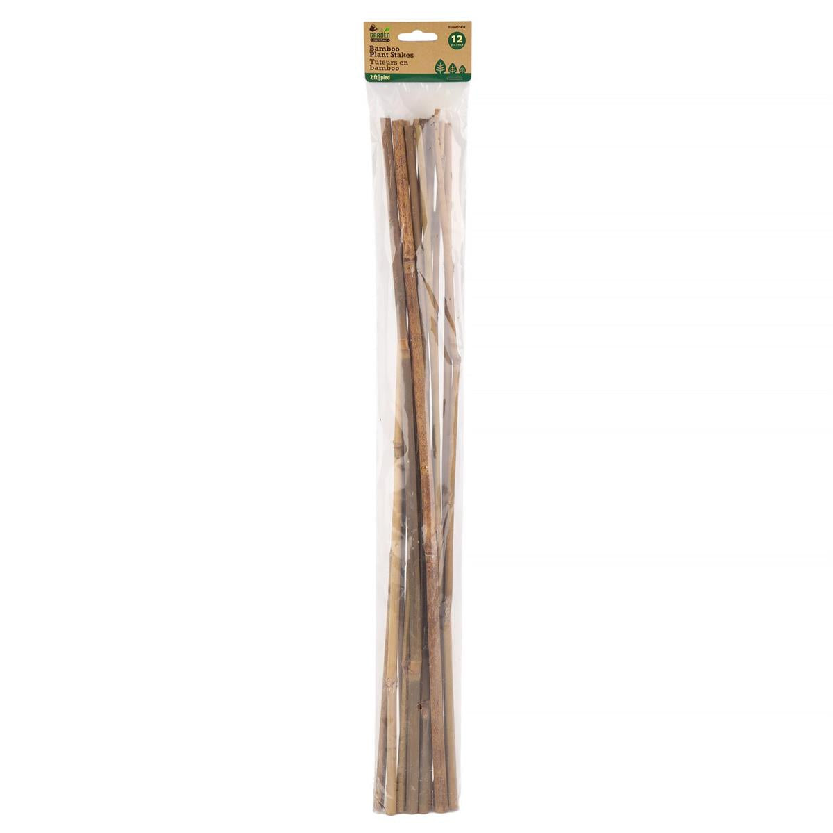 PLANT STAKES BAMBOO 16pc 2ft