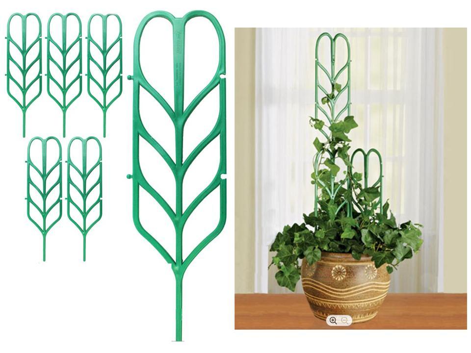 PLANT SUPPORTS LEAF SHAPE