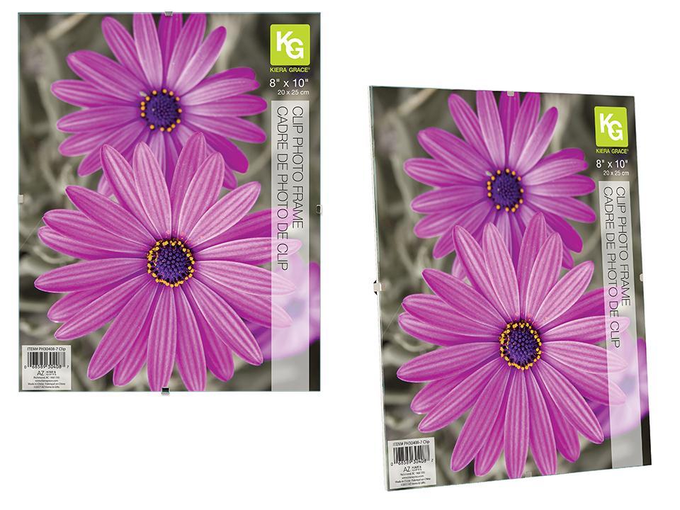 FRAME CLEAR wCLIPS 8x10in